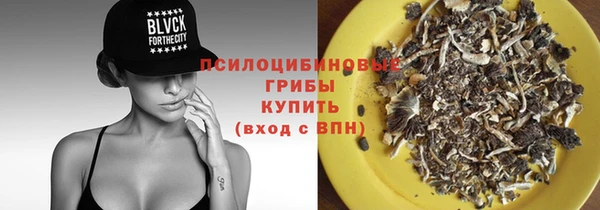 индика Балабаново