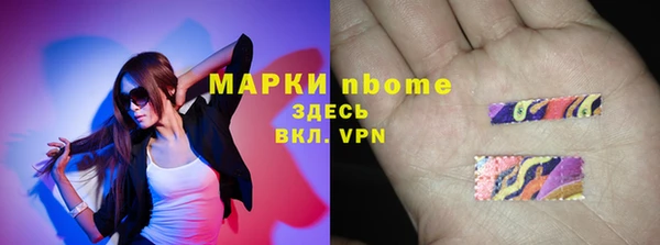 стаф Баксан