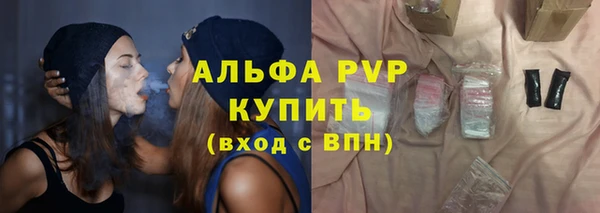 индика Балабаново
