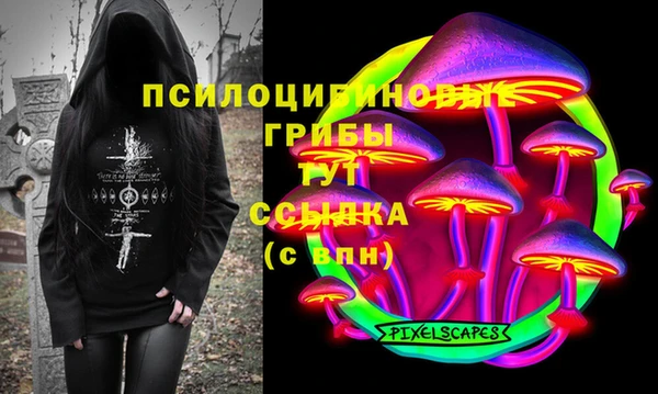 индика Балабаново