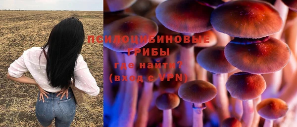 стаф Баксан