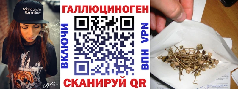 Псилоцибиновые грибы GOLDEN TEACHER  Сортавала 